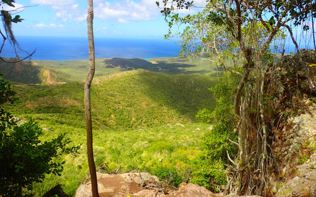 Explore the natural beauty of Christoffel National Park